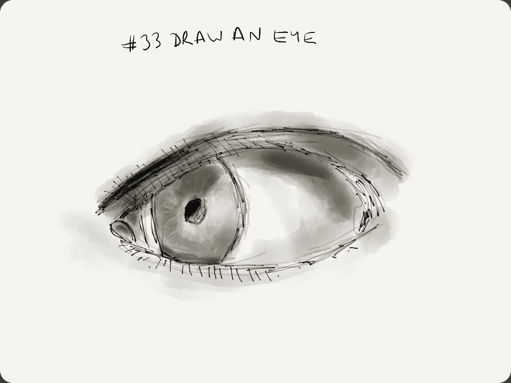 EDM #33 Draw an eye