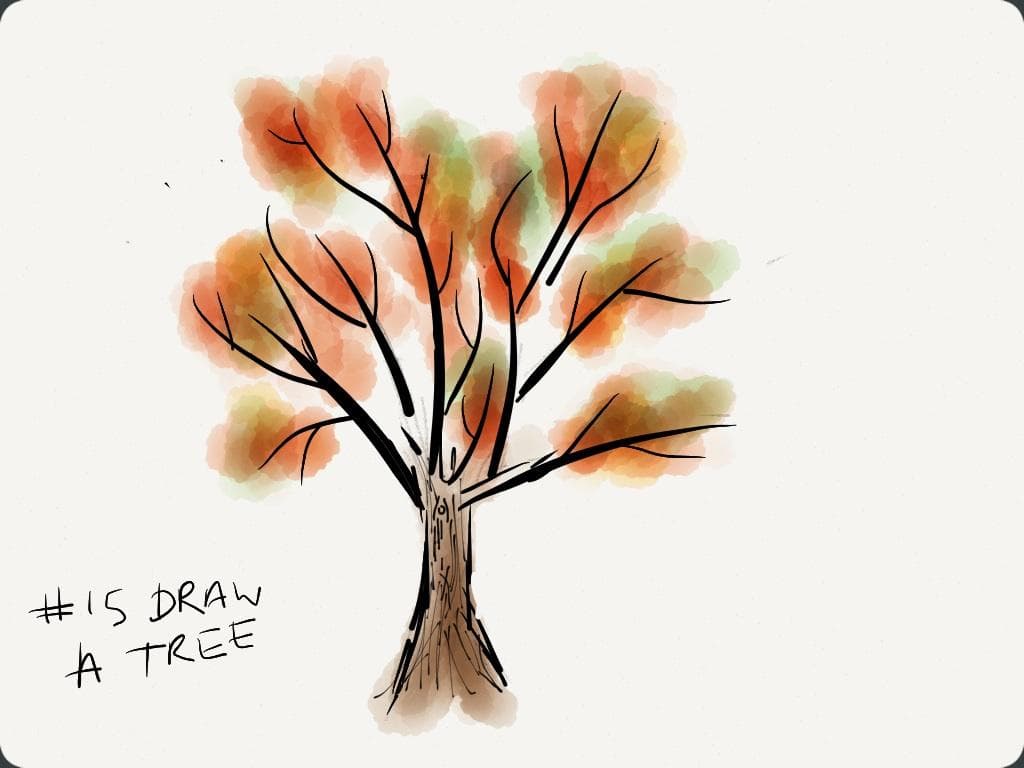 EDM #15 Draw a Tree or Trees, Leaves or Branches